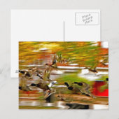 Carte Postale Voler (Devant / Derrière)