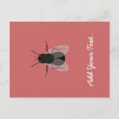 Carte Postale Voler (Devant)