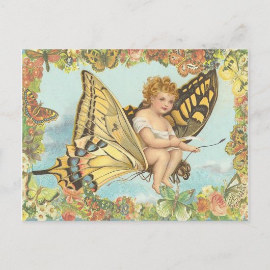 Carte Postale Voler (Devant)