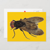 Carte Postale Voler (Devant / Derrière)