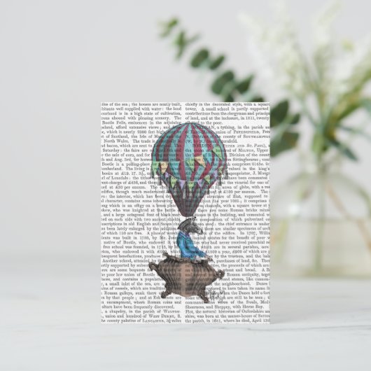 Carte Postale Voler Zebra (Debout devant)