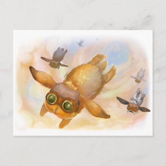 Carte Postale Volet mouche lapin (Devant)