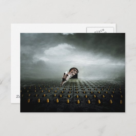 Carte Postale voleur 2 de tulipe 2013 (Devant / Derrière)