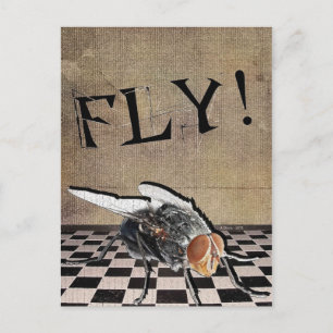 Carte Postale Volez ! Volez ! Volez !