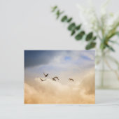 Carte Postale Vols d'oiseaux (Debout devant)