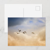 Carte Postale Vols d'oiseaux (Devant / Derrière)