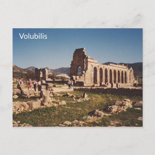 Carte Postale Volubilis - Maroc (Devant)