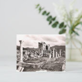 Carte Postale Volubilus (Debout devant)