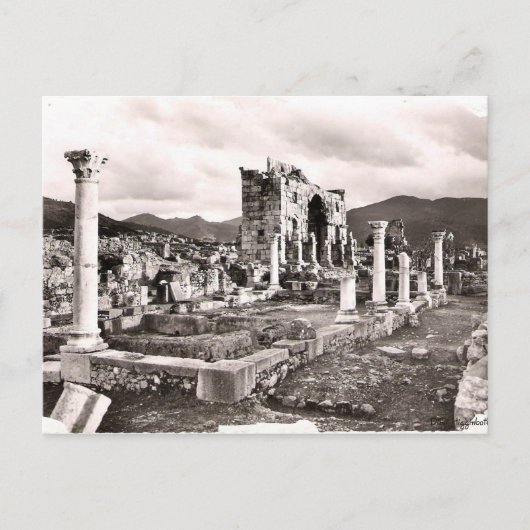 Carte Postale Volubilus (Devant)