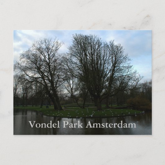 Carte Postale Vondelpark, Amsterdam (Devant)