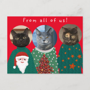 Carte Postale Vos 3 chats dans des pulls de Noël
