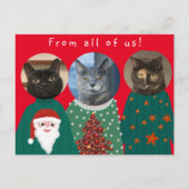 Carte Postale Vos 3 chats dans des pulls de Noël moches (Devant)