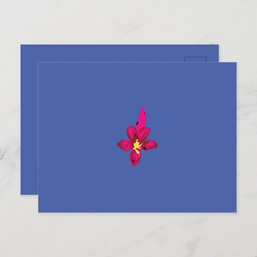 Carte Postale Vos vacances dans votre poche (Devant / Derrière)