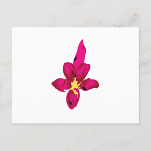 Carte Postale Vos vacances dans votre poche