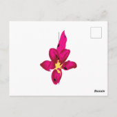 Carte Postale Vos vacances dans votre poche (Dos)