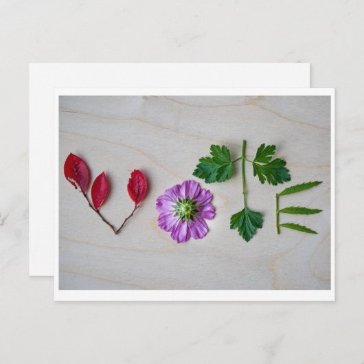 Carte Postale Vote (Devant / Derrière)