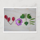 Carte Postale Vote (Devant)