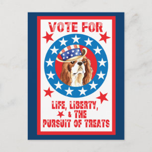 Carte Postale Voter pour Cavalier