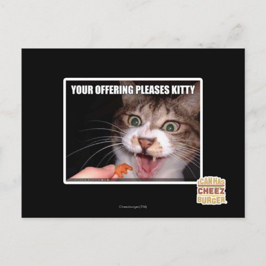 Carte Postale Votre Offre Plaise Kitty (Devant)
