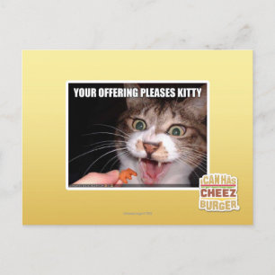 Carte Postale Votre Offre Plaise Kitty