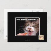 Carte Postale Votre Offre Plaise Kitty (Devant / Derrière)