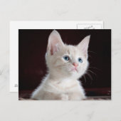 Carte Postale Votre photo personnalisée (Devant / Derrière)