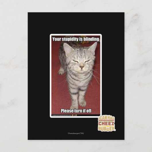 Carte Postale Votre stupidité aveugle 2 (Devant)