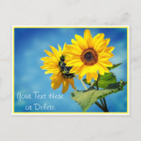 Votre texte/couleur Fleurs de soleil jaunes et Cie