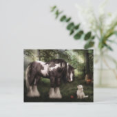 Carte Postale Voulez jouer (Debout devant)