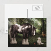 Carte Postale Voulez jouer (Devant / Derrière)