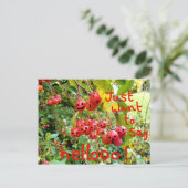 Carte Postale Vouloir simplement dire Bonjour ! (Debout devant)