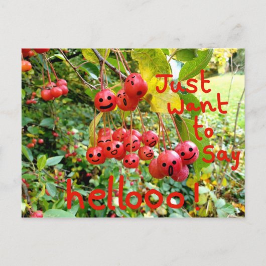 Carte Postale Vouloir simplement dire Bonjour ! (Devant)