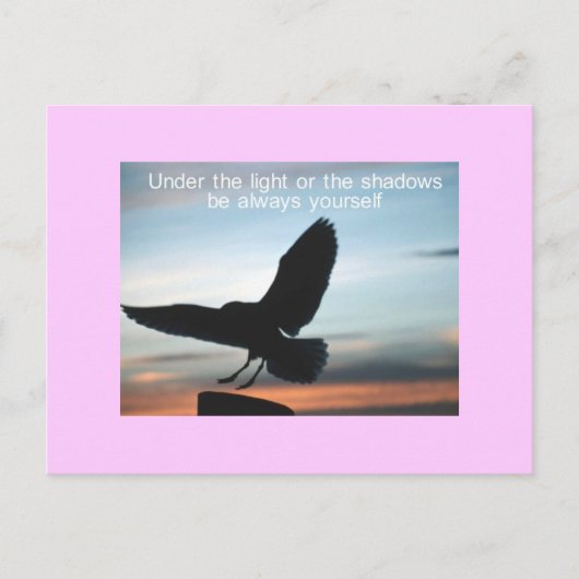 Carte Postale vous (Devant)