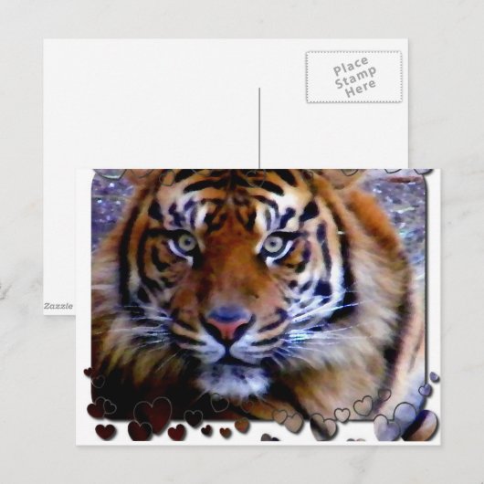 Carte Postale Vous aimer_ (Devant / Derrière)