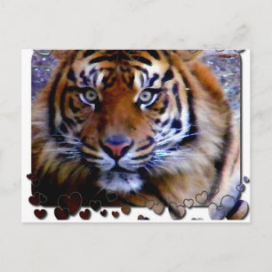 Carte Postale Vous aimer_