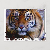 Carte Postale Vous aimer_ (Devant)