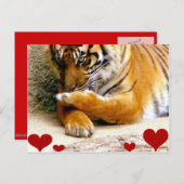 Carte Postale Vous aimez_ (Devant / Derrière)