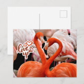 Carte Postale Vous Aimez Deux Beaux Oiseaux Flamants roses (Devant / Derrière)