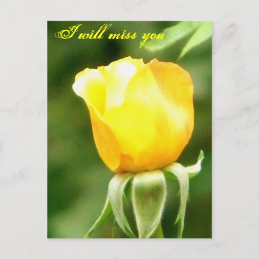 Carte Postale Vous allez manquer/N'importe quelle Occasions_Post (Devant)