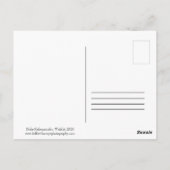 Carte Postale Vous attendez Hawaii Postcard (Dos)