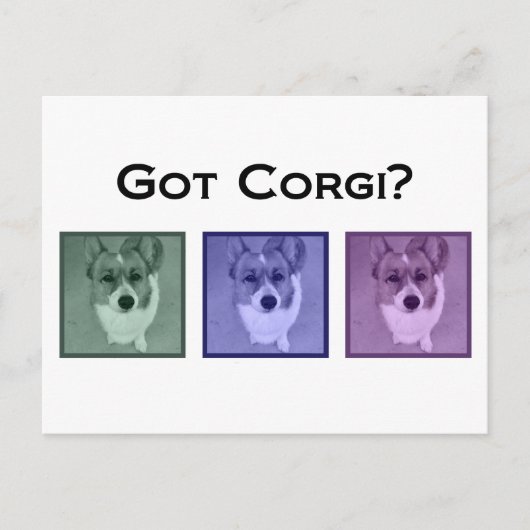 Carte Postale Vous avez Corgi ? Funny Corgis Art Photographie (Devant)