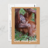 Carte Postale Vous avez des tartes à la boue ? (Devant / Derrière)