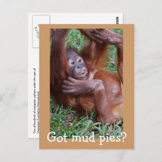 Carte Postale Vous avez des tartes à la boue ? (Devant / Derrière)