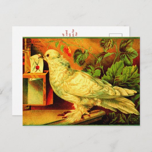 Carte Postale Vous avez du courrier ! (Devant / Derrière)