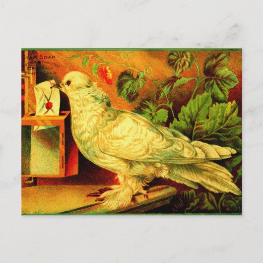 Carte Postale Vous avez du courrier ! (Devant)