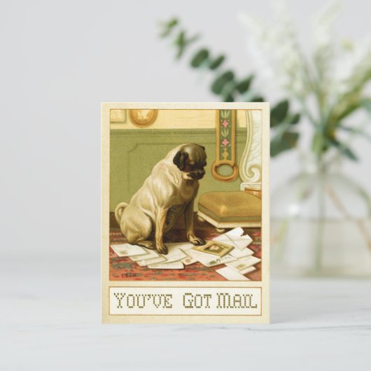 Carte Postale Vous avez du courrier (Debout devant)