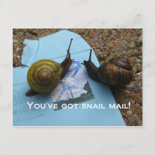 Carte Postale Vous avez du courrier d'escargot