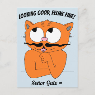 Carte Postale "VOUS AVEZ FIÈRE ALLURE, FÉLIN SUPERBE !" Joli Cha