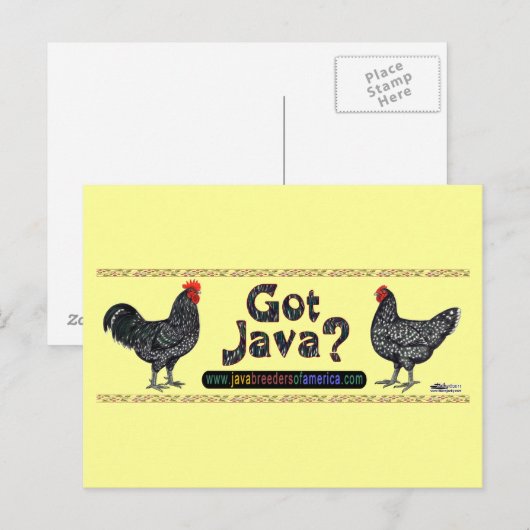Carte Postale Vous avez Java ? (Devant / Derrière)