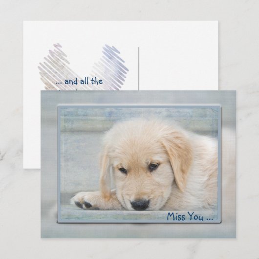 Carte Postale Vous avez manqué (Devant / Derrière)